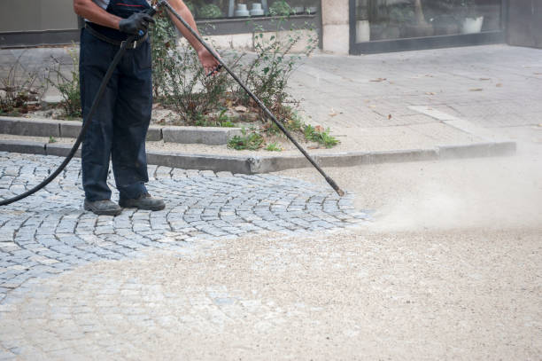 Animal Enclosure Cleaning in Lakehurst, NJ